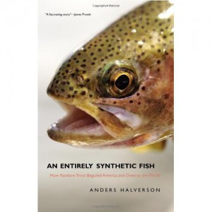 rainbow_trout_anders-halverson