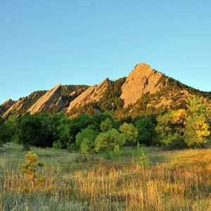 Photo by Casey A. Cass