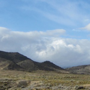 Malinda Miller-Huey (Engl’92, MJour’98)