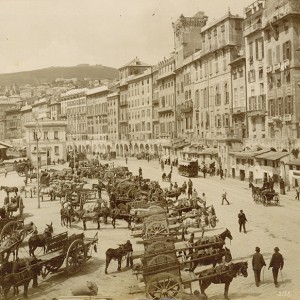 city-scene_horses