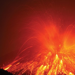 Photograph © Richard Roscoe/Stocktrek Images/Corbis