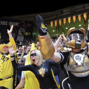 now_nov_2013_CUnit1GA