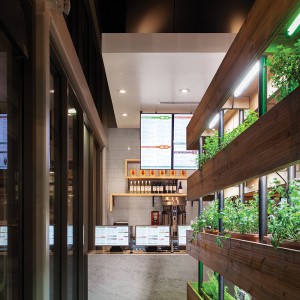 Photography courtesy Anthony Pigliacampo