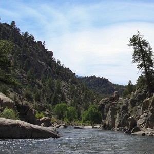 Photography by Jeffry Mitton