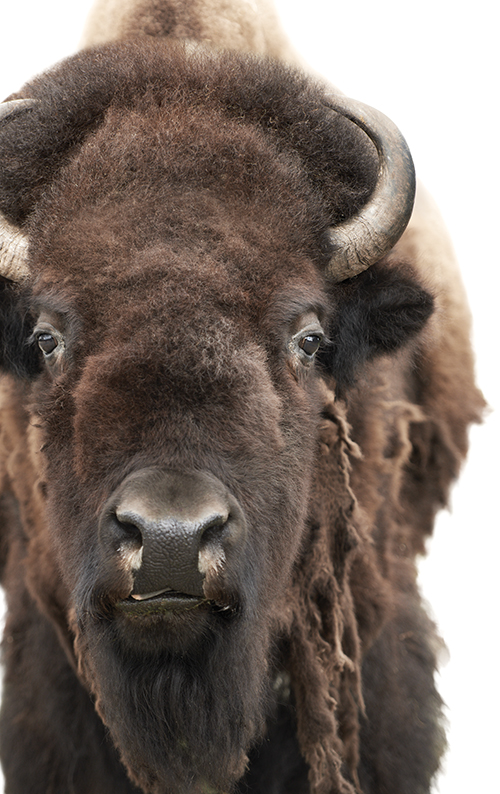 Photography by Morten Kolby