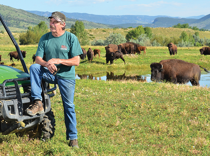 Larry Strear has been raising bison at his Longmont, Colorado, ranch for nearly 40 years.