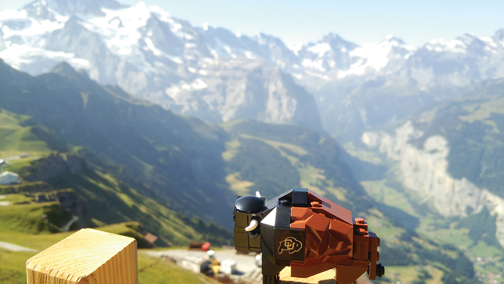 ralphie-switzerland_web