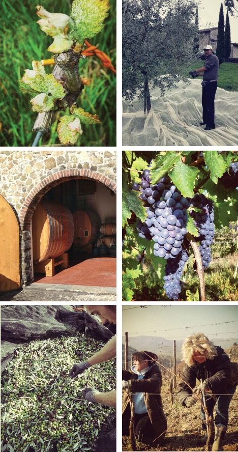 south_of_florence_pix1of2