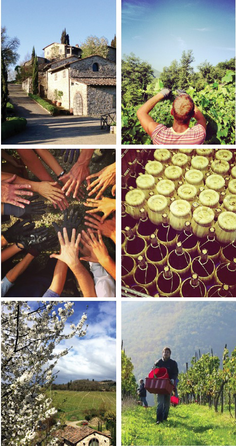 south_of_florence_pix2of2